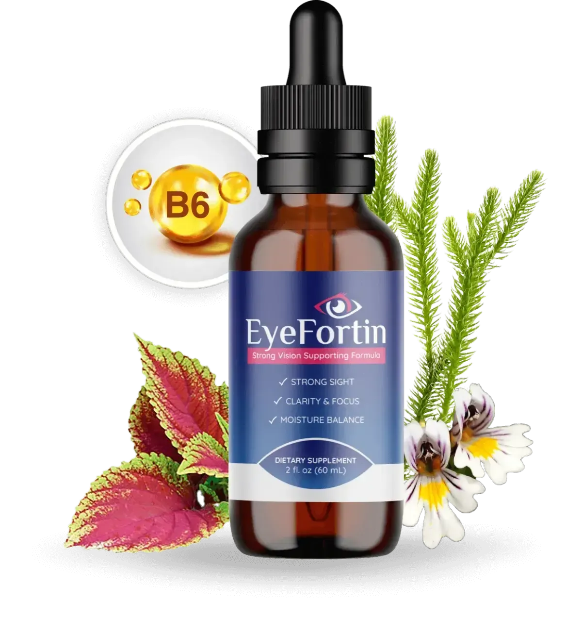 eye-fortin